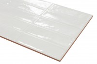 Плитка настенная 60x31 Pool White глянцевая Ecoceramic Плитка настенная 60x31 Pool White глянцевая Ecoceramic