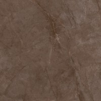 Керамогранит глянцевый 60x60 Ecoceramic EC. Metissage Nuez