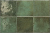 Moss Green Equipe 31566 Spa&pools