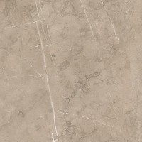 Плитка Porcelanite DOS керамогранит 50x50 5059 Vision Porcelanitе Dos 8215 матовая