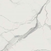 Керамогранит Rex Ceramiche I CLASSICI STATUARIO 6MM SOFT 746597 120x120