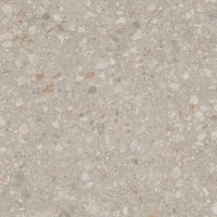 Estima Jasper