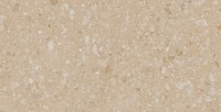 Estima Jasper
