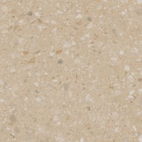 Estima Jasper