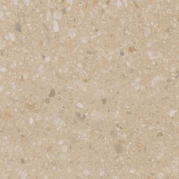 Estima Jasper