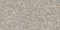 Estima Jasper