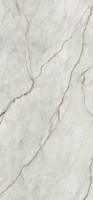 Керамогранит Imola GRE RO6 278 LP (GRERO6278LP) 120х278 Неглазурованный керамогранит 278x120