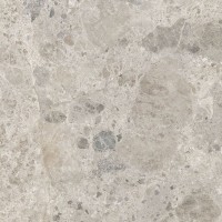 Керамогранит 60x60 Ragno R8JX Eterna Mix Gris rett