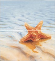 Настенная плитка панно Ceradim Starfish 50х45 КПН16Starfish1 dec 1 panno из 2-х шт, глазурованная