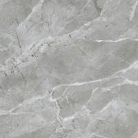 Плитка 60x60 SilkMarble Бреча Серый K947791R0001VTET МатR9 матовая Vitra