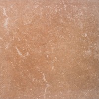 Ступень фронтальная 33x33 14мм Stone Peldano Brown нескользящая r12 Exagres