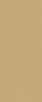 Керамическая плитка Fap Ceramiche fTDS True Color Caramel 50x120 RT