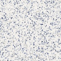 керамогранит Marazzi Italy керамогранит 60x60 Frammento Macro Azzurro R10 RT MN1L