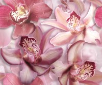 Настенная плитка панно Cerrol Porto Orchid Lila 60х50 porto flowers orchid lila 2пл, глазурованная