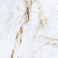 Керамогранит  Primavera 60x60 Namibian Marble PR116 полированная