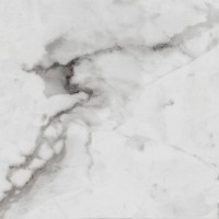 Керамогранит Royce Carrara Betria Polished 60x60 Primavera 60x60 Carrara Betria R_PR1005 полированная