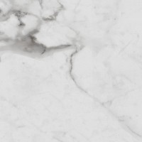 Керамогранит Royce Carrara Betria Polished 60x60 Primavera 60x60 Carrara Betria R_PR1005 полированная