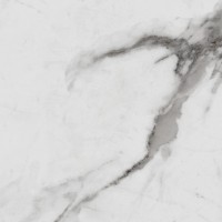 Керамогранит Royce Carrara Betria Polished 60x60 Primavera 60x60 Carrara Betria R_PR1005 полированная