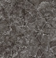 Плитка напольная  Тянь-Шань Керамик 45x45 Серый TP453602D матовая