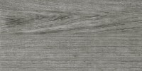 Плитка настенная Тянь-Шань Геро Дерево Серый 30x60 Тянь-Шань Керамик 60x30 Плитка настенная Тянь-Шань Геро Дерево Серый TP3669B глянцевая