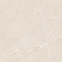 Плитка Ocean Ceramic INDIA NEW керамогранит 60x60 Lizzard Ivory India sugar