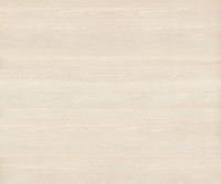  Krion  Royal Poplar Matt 6 мм 300x120