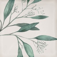 Плитка Eletto Ceramica 15x15 облицовочная Мате/Mate Mate Decor Greens глянцевая
