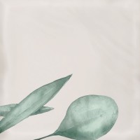 Плитка Eletto Ceramica 15x15 облицовочная Мате/Mate Mate Decor Greens глянцевая