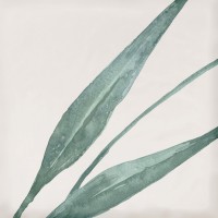 Плитка Eletto Ceramica 15x15 облицовочная Мате/Mate Mate Decor Greens глянцевая
