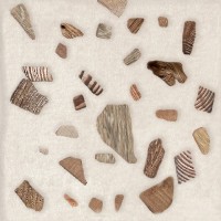 Плитка Eletto Ceramica 15x15 облицовочная Дерево/Wood Terazzo матовая
