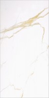 Плитка 120x60 12мм GOLDEN CARRARA полированная rect. коричневый Bonaparte