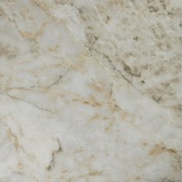 Плитка 60x60 Elda Gold rect. Тон 220401 Bonaparte