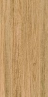 Плитка 120x60 Greenwood Great 20231026 GW7 Bonaparte Плитка 120x60 Greenwood Great 20231026 GW7 Bonaparte