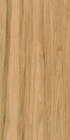 Плитка 120x60 Greenwood Great GW10 Bonaparte