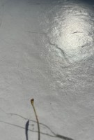 Плитка настенная 59x119 Мармо Тассос белый матовая Cerrad