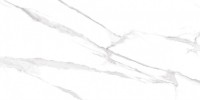 Плитка настенная 120x60 Альбета Статуарио полированный глянцевая Realistik