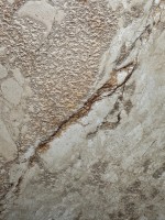 Плитка настенная 120x60 Амазон бежевый двойная цифровая печать матовая структурная Realistik