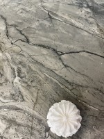 Плитка настенная 120x60 Крафт Хазель серый матовый матовая Realistik