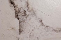 Плитка настенная 120x60 Клео белый структурный карвинг структурная Realistik Плитка настенная 120x60 Клео белый структурный карвинг структурная Realistik