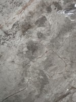 Плитка настенная 160x80 Смоки персиковый полированный непрерывный рисунок глянцевая Realistik