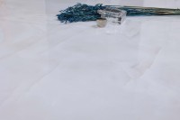 Плитка напольная 60x60 Coin White Glossy полированная Realistik