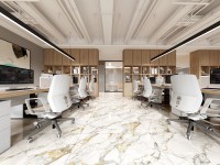 Плитка настенная 120x60 Lima Polished Gold Carving полированная Realistik