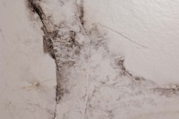 Плитка настенная 120x60 Cleo White Stonelo Carving структурная Realistik