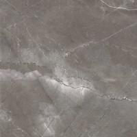 Керамогранит 60x60 8мм полированная FP1014-A Pulpis Nero серый камень Arcadia Ceramica Керамогранит 60x60 8мм полированная FP1014-A Pulpis Nero серый камень Arcadia Ceramica
