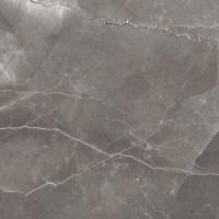 Керамогранит 60x60 8мм полированная FP1014-A Pulpis Nero серый камень Arcadia Ceramica Керамогранит 60x60 8мм полированная FP1014-A Pulpis Nero серый камень Arcadia Ceramica