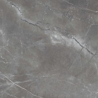 Керамогранит 60x60 8мм полированная FP1014-A Pulpis Nero серый камень Arcadia Ceramica Керамогранит 60x60 8мм полированная FP1014-A Pulpis Nero серый камень Arcadia Ceramica