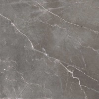 Керамогранит 60x60 8мм полированная FP1014-A Pulpis Nero серый камень Arcadia Ceramica Керамогранит 60x60 8мм полированная FP1014-A Pulpis Nero серый камень Arcadia Ceramica