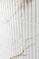 Керамогранит 120x60 8мм карвинг про CP4004-D Selva Gold Decor белый Arcadia Ceramica Керамогранит 120x60 8мм карвинг про CP4004-D Selva Gold Decor белый Arcadia Ceramica