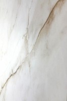 Керамогранит 120x60 8мм карвинг про CP4004-A Selva Gold белый Arcadia Ceramica