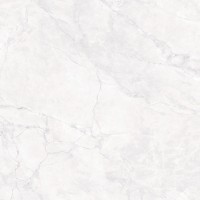 Керамогранит 60x60 8мм карвинг CR6008-A Arctic White серый камень Arcadia Ceramica